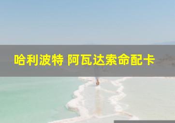 哈利波特 阿瓦达索命配卡